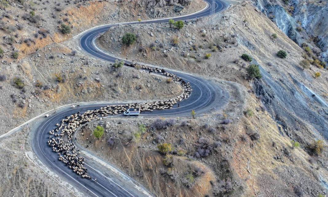9 virajlı yolda Koçerlerin Diyarbakır’a dönüş yolculuğu 1